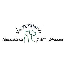 CONSULTORIO VETERINARIO MORANO