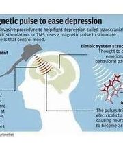 My Health 101 image 1