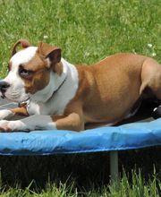 Domaine de Château Milan image 3