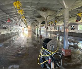 Clean BY BM Bild 9