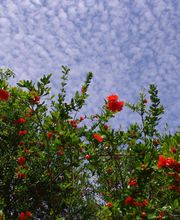 Hostellerie Restaurant Les Gorges de l'Aveyron image 7