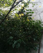 Meddour Paysage image 5