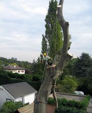 ABDF Bonadei & Chassot Bild 4