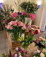 Blumen Müller Bild 6