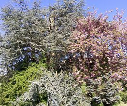 IMG_20260430_103035.jpg