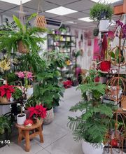 Decors Arts Fleurs image 2