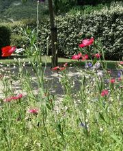 Jardinservice SARL image 12