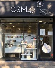 Gsm 47 image 3
