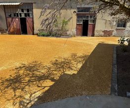 RDTP image 15