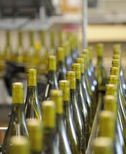 DEMAZET LA CAVE - DEMAZET VIGNOBLES image 3