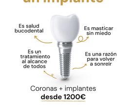 236918728-1-jHqd7jeLEH1766767541252.png