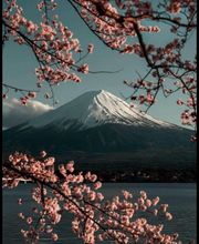 Devin Valérie image 3