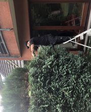 F & G Gebäudereinigung Gashi Bild 10