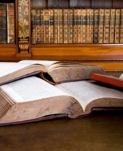 Babin Ruby Michèle image 2