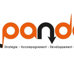 Panda SEO image 10