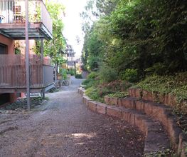 Widler Gartenbau GmbH Bild 5