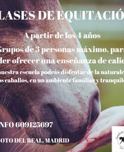 Escuela de Doma Clásica EV imagen 19