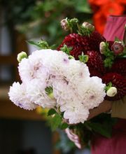 Blumen Peters in Norderstedt Floristik & Blumenfachgeschäft Bild 5