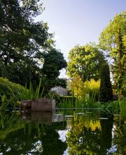 Salathé Rentzel Gartenkultur AG Bild 6