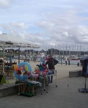 Ferienhaus Nemo Bild 17