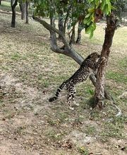 Knap Tours imagen 10