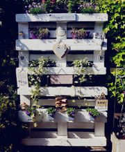 Gschwind Gartenarbeiten GmbH Bild 11