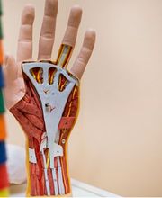 Ergotherapie am Park Bild 1