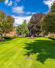 Rugby Square Apartments image 11