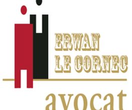 Erwan Le Cornec image 2