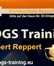 DOGS Training Bild 15