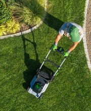 Azizi Gartenbau Bild 7