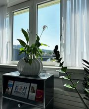 Corpvs AG Bild 8