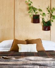 Bluebird Cady Hill Lodge image 13