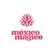méxico mágico I Mexikanische Lebensmittel