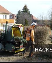 Baumdienst Schaller Bild 5