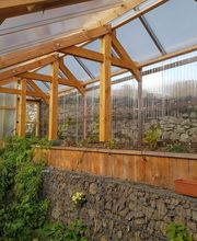 Michael Passi image 2