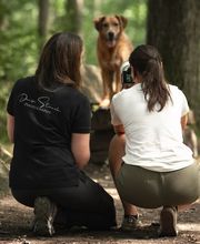 Denise Strauch Photography