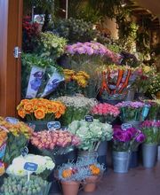 Groot assortiment bloemen