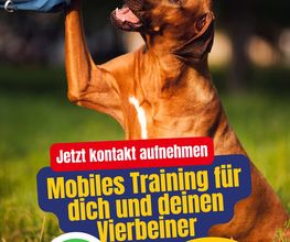 MetaWania Marketing Studios Bild 8