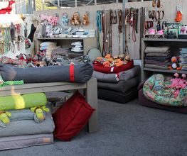 Schönes Hundeleben Bild 5