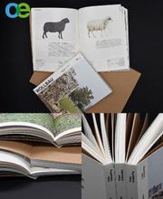 oeding print GmbH Bild 4