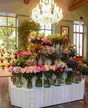 Les Fleurs D'Isis by Rénald image 3