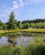 LES JARDINS SOTHYS image 10