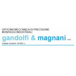 Gandolfi & Magnani Srl logo