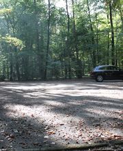 FriedWald Meroder Wald Bild 8