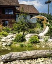 Himmelgrün - Buck Bild 1