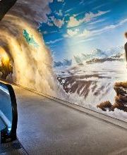 Alpine Sensation Jungfraujoch Bild 3
