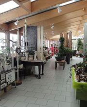 Blumen Kilger Bild 6