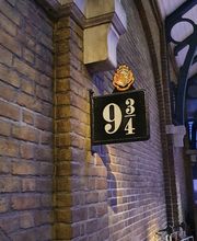 Wild Dodo Sàrl Bild 2