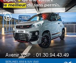 Voiture Sans Permis image 13